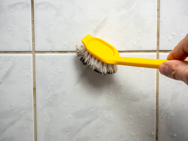 Best Localized Mold Remediation (e.g., coastal areas, humid climates) in Ellsworth, WI
