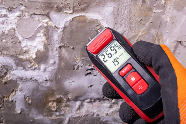 Best Mold Testing and Inspection Services in Ellsworth, WI